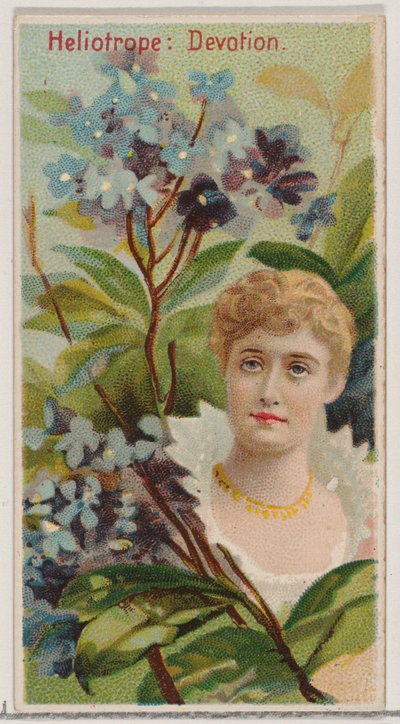 Heliotrope: Devotion, sarjasta Floral Beauties and Language of Flowers N75 for Du..., 1892. tekijältä Donaldson Brothers