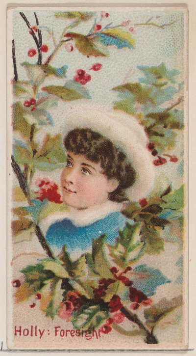 Holly: Foresight, sarjasta Floral Beauties and Language of Flowers N75 Duke b..., 1892. tekijältä Donaldson Brothers
