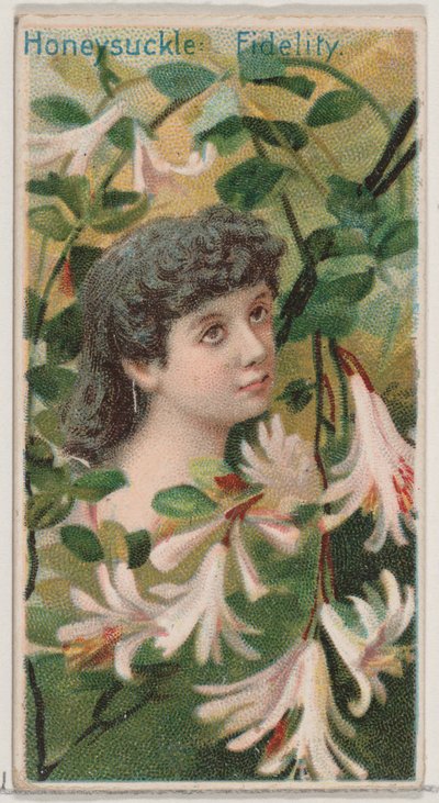 Honeysuckle: Fidelity, sarjasta Floral Beauties and Language of Flowers N75 for D..., 1892. tekijältä Donaldson Brothers