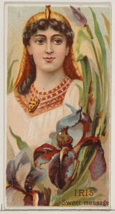 Iris: Sweet Message, sarjasta Floral Beauties and Language of Flowers N75 Duk..., 1892. tekijältä Donaldson Brothers