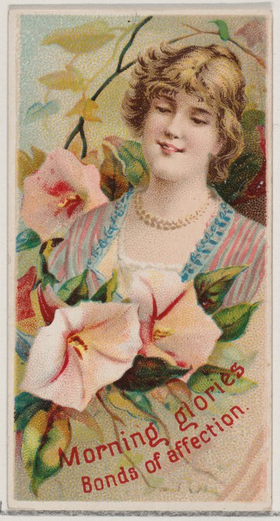 Morning Glories: Bonds of Affection, sarjasta Floral Beauties and Language of Flowe..., 1892. tekijältä Donaldson Brothers