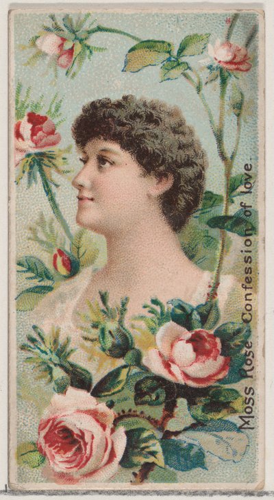 Moss Rose: Confession of Love, sarjasta Floral Beauties and Language of Flowers N7..., 1892. tekijältä Donaldson Brothers