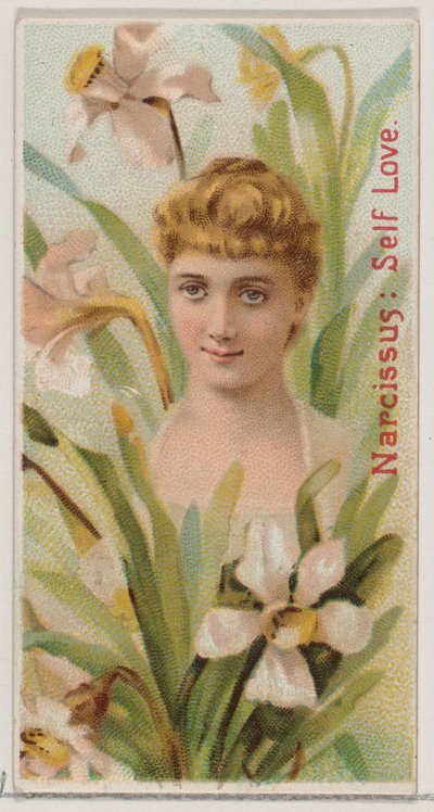 Narcissus: Self Love, sarjasta Floral Beauties and Language of Flowers N75 for Du..., 1892. tekijältä Donaldson Brothers