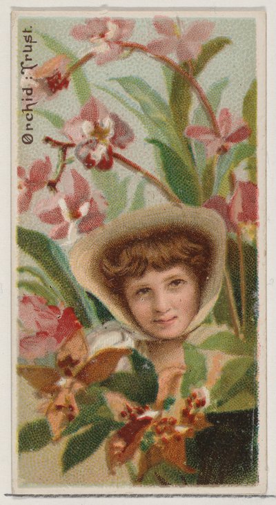 Orchid: Trust, sarjasta Floral Beauties and Language of Flowers N75 for Duke bran..., 1892. tekijältä Donaldson Brothers