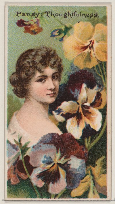 Pansy: Thoughtfulness, sarjasta Floral Beauties and Language of Flowers N75 for D..., 1892. tekijältä Donaldson Brothers