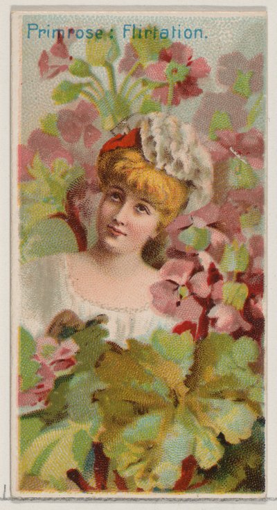 Primrose: Flirttailu, sarjasta Floral Beauties and Language of Flowers N75 for Du..., 1892. tekijältä Donaldson Brothers