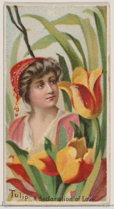 Tulppaani: Rakkauden julistus, sarjasta Floral Beauties and Language of Flowers N75..., 1892. tekijältä Donaldson Brothers