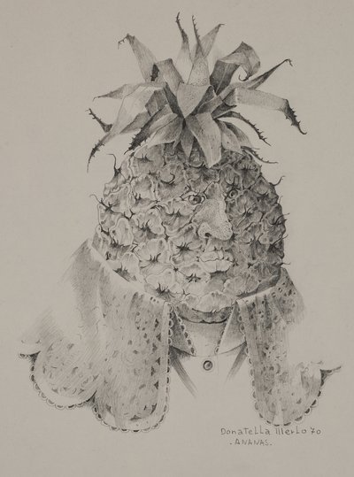 Ananas tekijältä Donatella Merlo