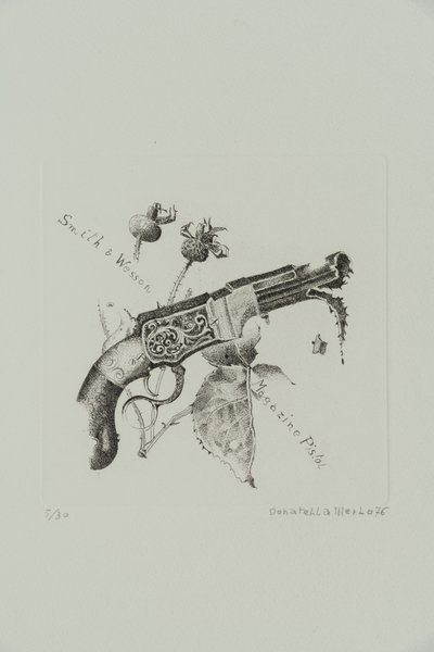 Smith and Wesson Magazine Pistol tekijältä Donatella Merlo