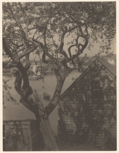 Satamakuva, luultavasti Gloucester, Massachusetts, Massachusetts tekijältä Doris Ulmann
