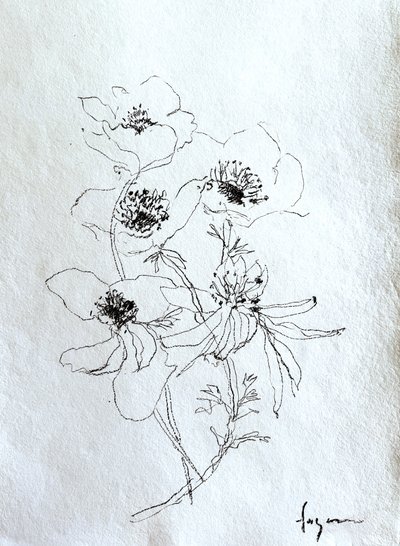  tekijältä Dorothy Fagan