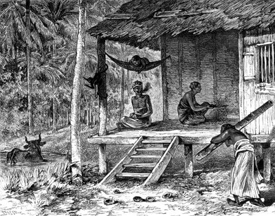 Malesialainen mökki, 1800-luku tekijältä Dosso