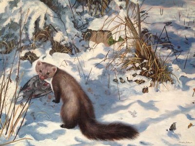 Kivimajava lumessa (öljy kankaalle) tekijältä Douglas Anderson