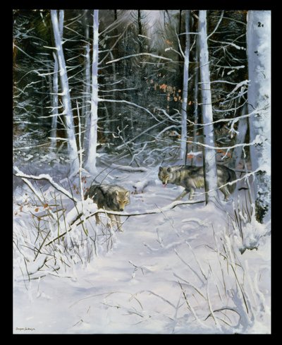 Sudet lumisessa metsässä tekijältä Douglas Anderson