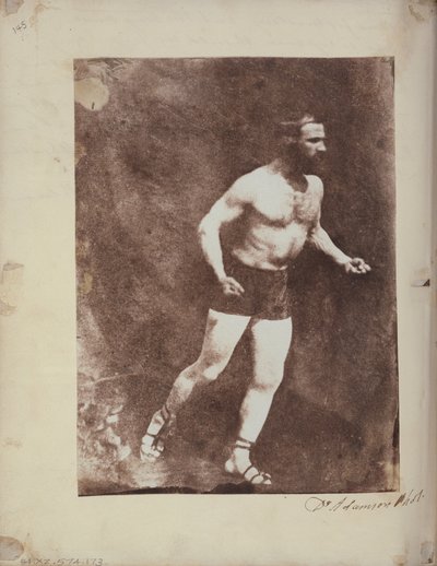 Urheilija tekijältä Dr. John Adamson