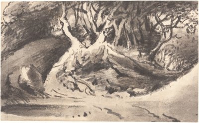 Metsäinen maisema tekijältä Dr. Thomas Monro