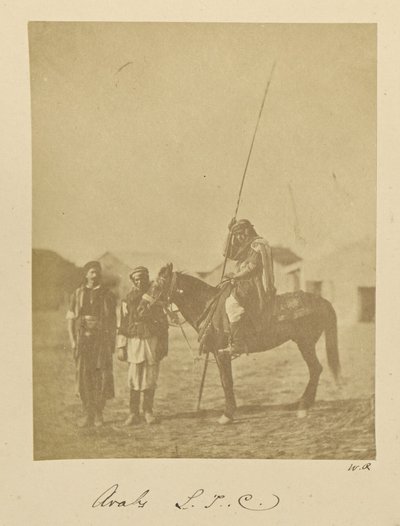 Arabit. L.T.C. tekijältä Dr. William Robertson