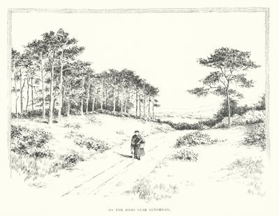 Tiellä Hindheadin lähellä (litografia) tekijältä Duncan Moul