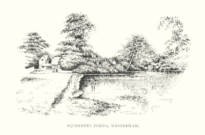 Squerryes Ponds, Westerham (litografia) tekijältä Duncan Moul