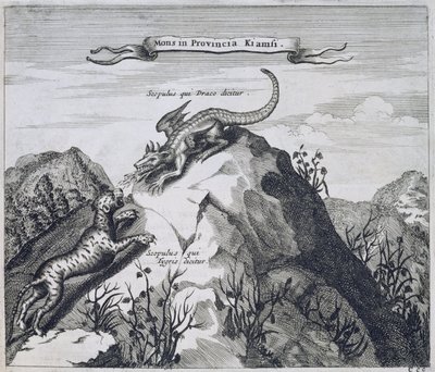 Vuori Jiangxin maakunnassa, jossa on lohikäärmeenä ja tiikereinä tunnetut kalliot, Kiinasta Kuvittanut Athanasius Kircher (1601-80) 1667 tekijältä Dutch School