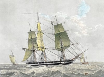 Amerikan laivaston korvetti purjeiden alla, 1800-luvun alku (tulostus) tekijältä Dutch School