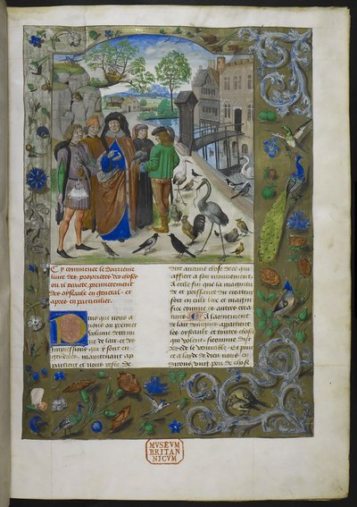 Bartholomaeus Angelicus, ranskankielisestä De proprietatibus rerum -kirjasta (Livre des proprietez des choses), Royal 15 E III, f. 11 tekijältä Dutch School