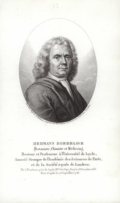 Herman Boerhaave tekijältä Dutch School