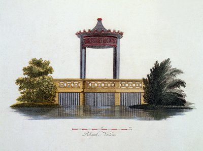 Kuvitus G. van Laarin Magazine of Garden Gems -lehdestä, julkaistu 1802 tekijältä Dutch School