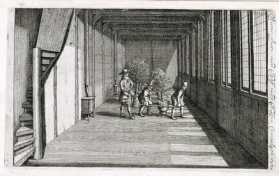 Puiden siirtäminen puutarhaan kesäksi, Jan Commelinin De Nederlandse Hesperides, julkaistu 1676 tekijältä Dutch School