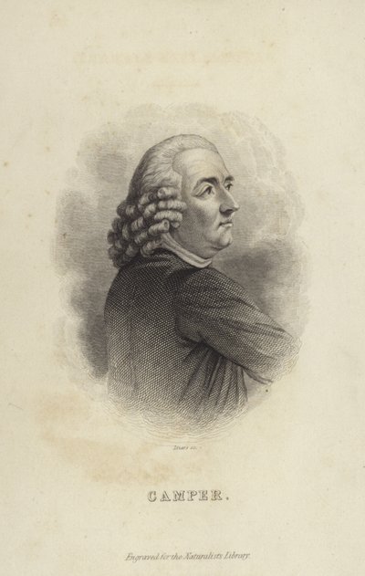 Peter Camper tekijältä Dutch School