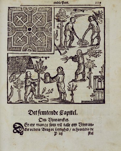 Puiden istuttaminen, Johann van der Groenin hollantilainen puutarhuri, julkaistu 1699 tekijältä Dutch School