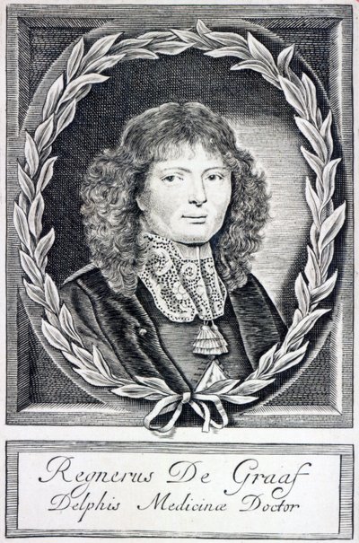 Regnier de Graaf, noin 1670 tekijältä Dutch School