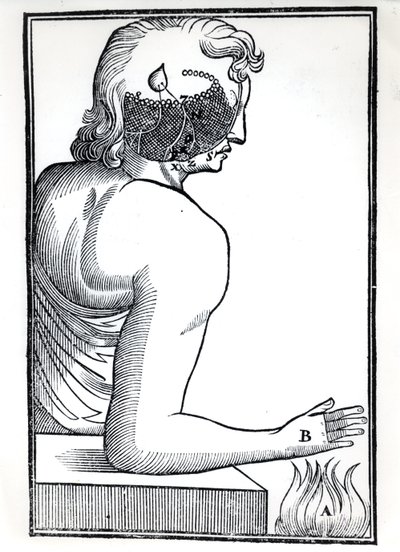 The Perception of Senses, Rene Descartesin (1596-1650) De Homine Figuris -teoksesta, julkaistu Amsterdamissa 1677 tekijältä Dutch School