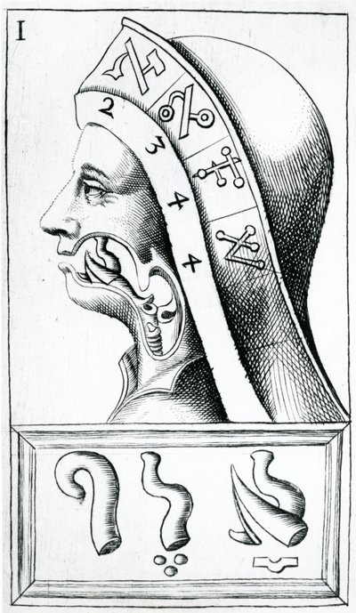 Kurkun liikkeitä käytetään heprean aakkosten ääntämisessä, kuva Alphabetum Naturasta (Luonnon aakkoset), F.M. van Helmont, 1667 tekijältä Dutch School
