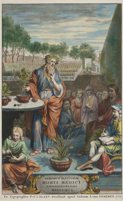 Nimiölehti teoksesta "Horti Medici Amstelodamensis Rariorum Plantarum Historia", osa II, kirjoittaneet Jan Commelin ja Caspar Commelin. tekijältä Dutch School