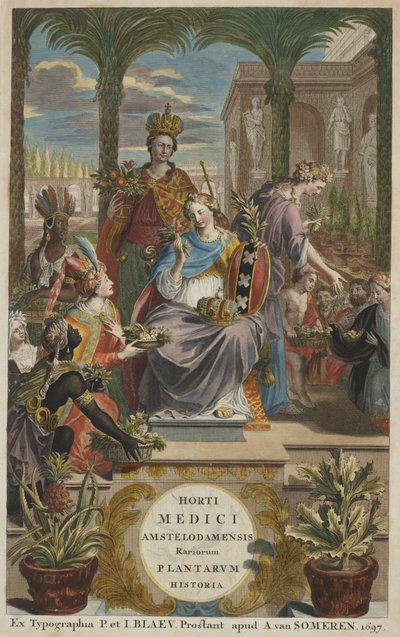 Nimiölehti kirjasta "Horti Medici Amstelodamensis Rariorum Plantarum Historia", osa I, kirjoittanut Jan Commelin. tekijältä Dutch School