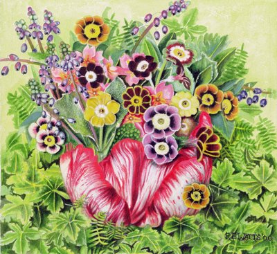 Auriculas, 2000 (akryyli kankaalle) tekijältä E.B. Watts
