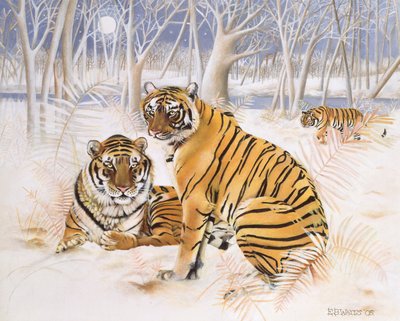 Tigers in the Snow, 2005 (akryyli kankaalle) tekijältä E.B. Watts