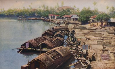 Ceylon, vuosi 1920 tekijältä ENA