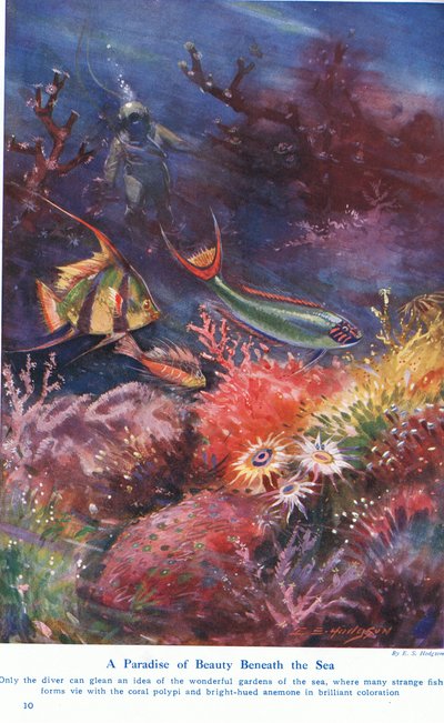 Kauneuden paratiisi meren alla, kuvitus teoksesta "Wonders of Land and Sea", julkaisija Cassell, Lontoo, 1914 tekijältä E.S. Hodgson