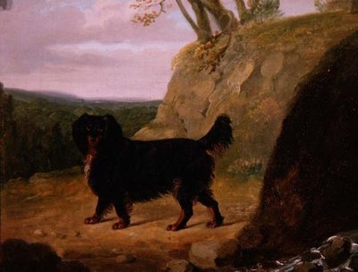 Cockerspanieli maisemassa tekijältä E.W. Gill