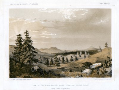 Black Forest Mount Hope ja Sierra Prieta, USA, 1856. tekijältä E Stout