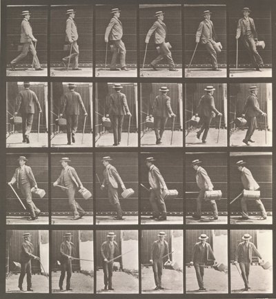Eläinten liikkuminen. Sähkövalokuvatutkimus... eläinten liikkeistä. Alkaa..., 1880-luku. tekijältä Eadweard Muybridge