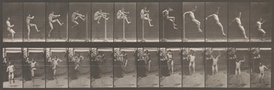 Locomoció animal. Una investigació electrofotogràfica de les fases consecutives dels animals..., dècada de 1880. finlandès tekijältä Eadweard Muybridge