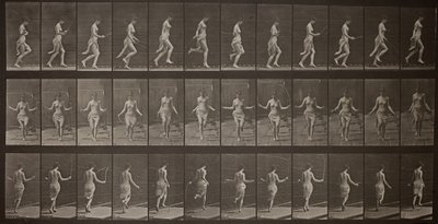 Animal Locomotion, levy 174, 1887. tekijältä Eadweard Muybridge