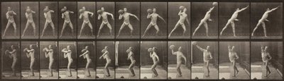 Animal Locomotion, levy 319, 1887. tekijältä Eadweard Muybridge