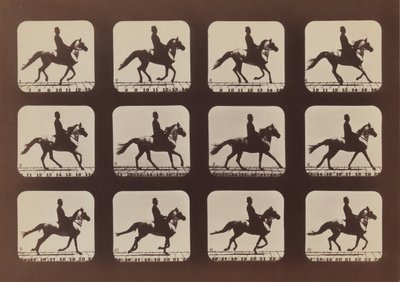Attitudes of Animals in Motion, 1879, painettu 1881. tekijältä Eadweard Muybridge