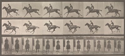 [Horse and Rider Laukkaa], 1883-86, painettu 1887. tekijältä Eadweard Muybridge