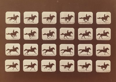Hevoset. Juoksemassa. Phyrne L. nro 40, 1879. tekijältä Eadweard Muybridge
