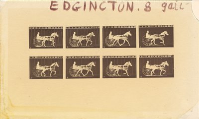 Internegatiivi hevosille. Ravi. Abe Edgington. nro 28, 1878. tekijältä Eadweard Muybridge